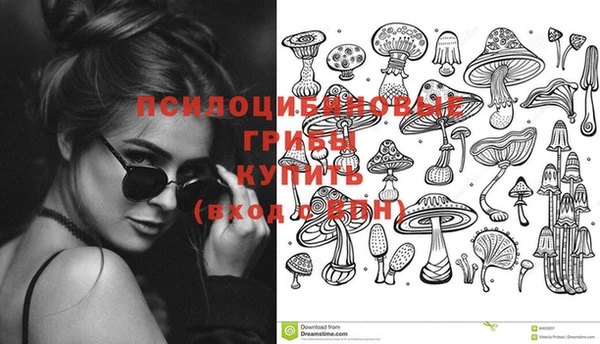 Альфа ПВП Михайловка