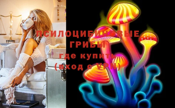 MDMA Медвежьегорск