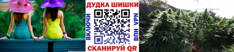 где можно купить наркотик  Приозерск  Бошки марихуана план 